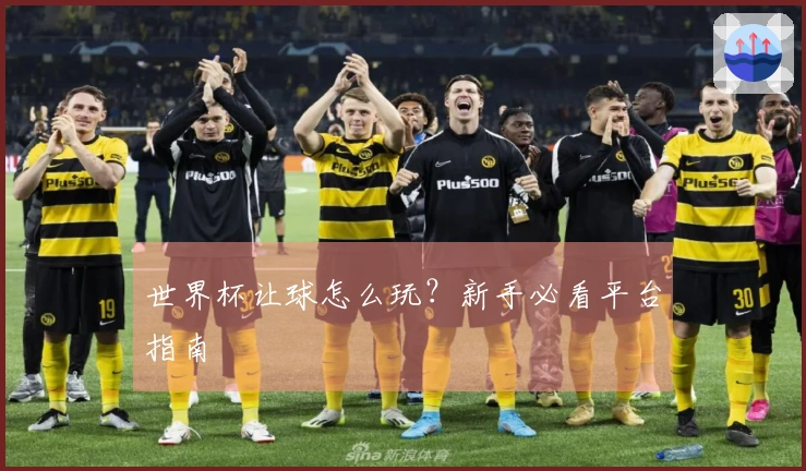 世界杯让球怎么玩？新手必看平台指南