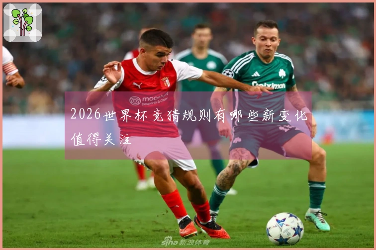 2026世界杯竞猜规则有哪些新变化值得关注