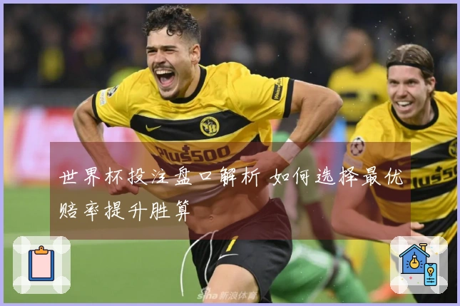 世界杯投注盘口解析 如何选择最优赔率提升胜算