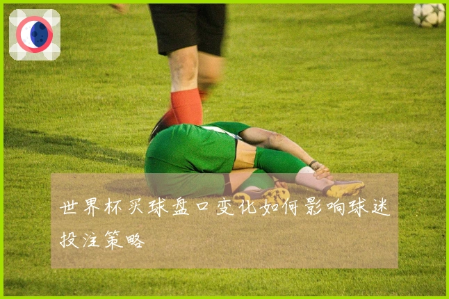 世界杯买球盘口变化如何影响球迷投注策略