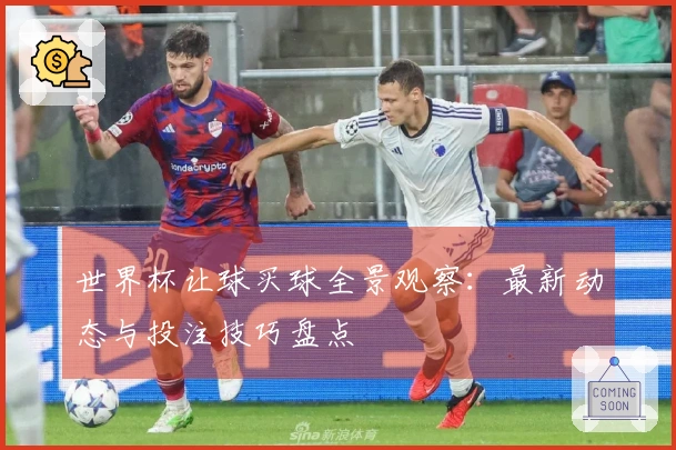 世界杯让球买球全景观察：最新动态与投注技巧盘点