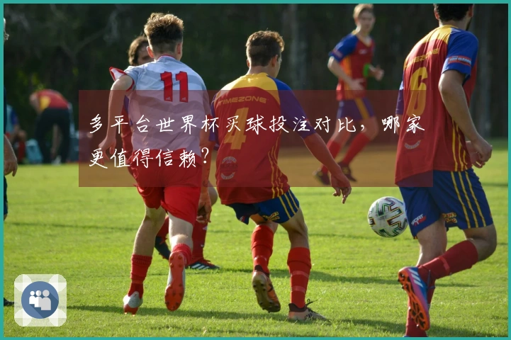 多平台世界杯买球投注对比，哪家更值得信赖？