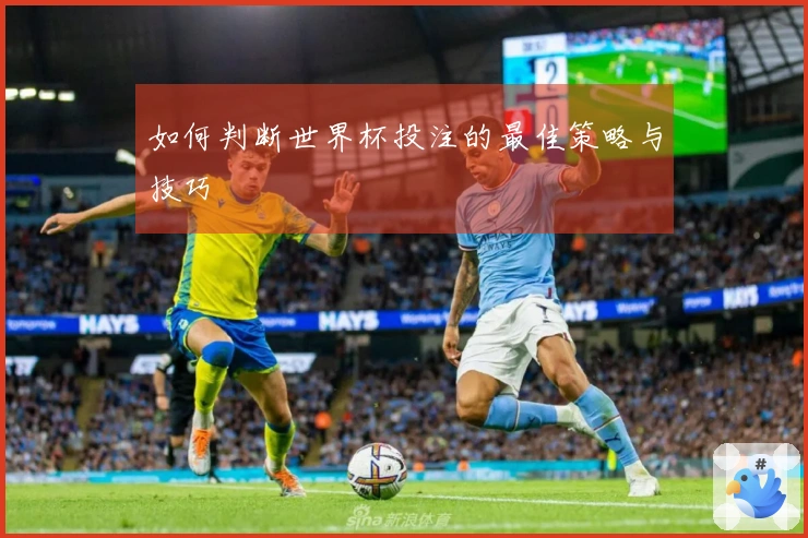 如何判断世界杯投注的最佳策略与技巧