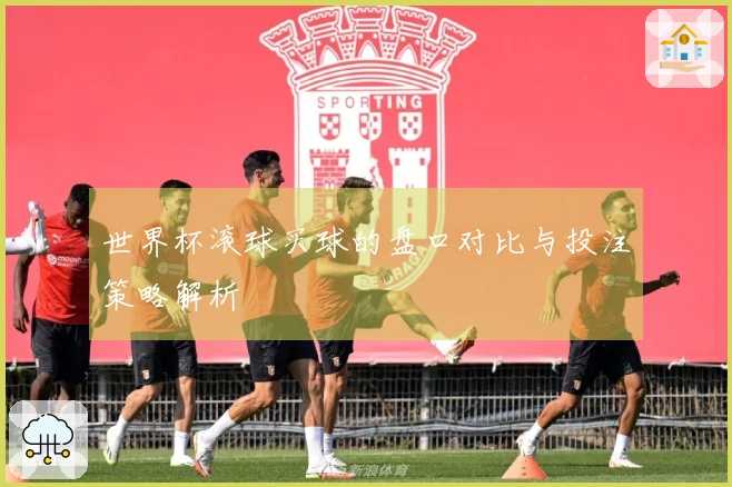 世界杯滚球买球的盘口对比与投注策略解析