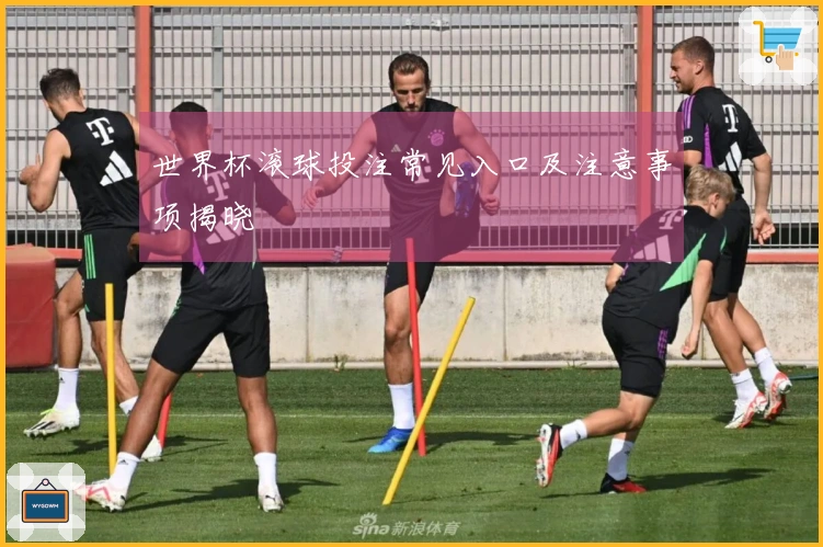 世界杯滚球投注常见入口及注意事项揭晓
