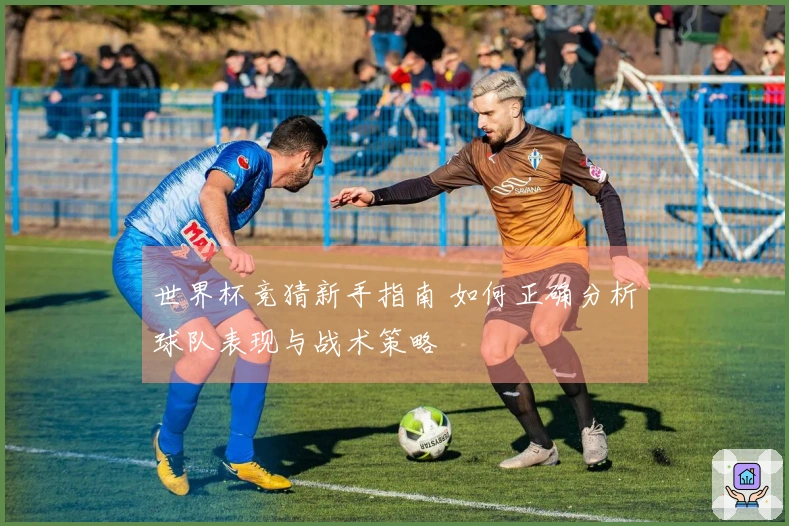 世界杯竞猜新手指南 如何正确分析球队表现与战术策略