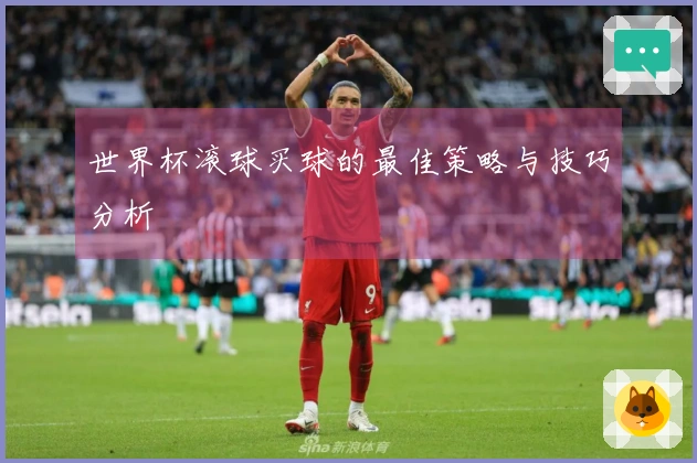 世界杯滚球买球的最佳策略与技巧分析