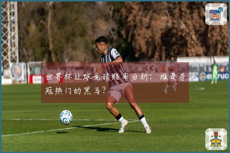 世界杯让球竞猜赔率分析：谁是夺冠热门的黑马？