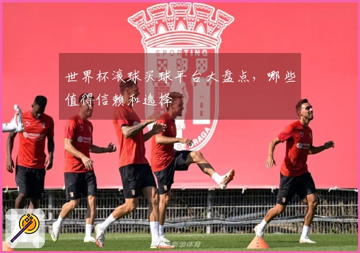 世界杯滚球买球平台大盘点,哪些值得信赖和选择