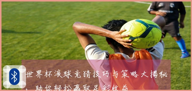 世界杯滚球竞猜技巧与策略大揭秘，助你轻松赢取足彩收益