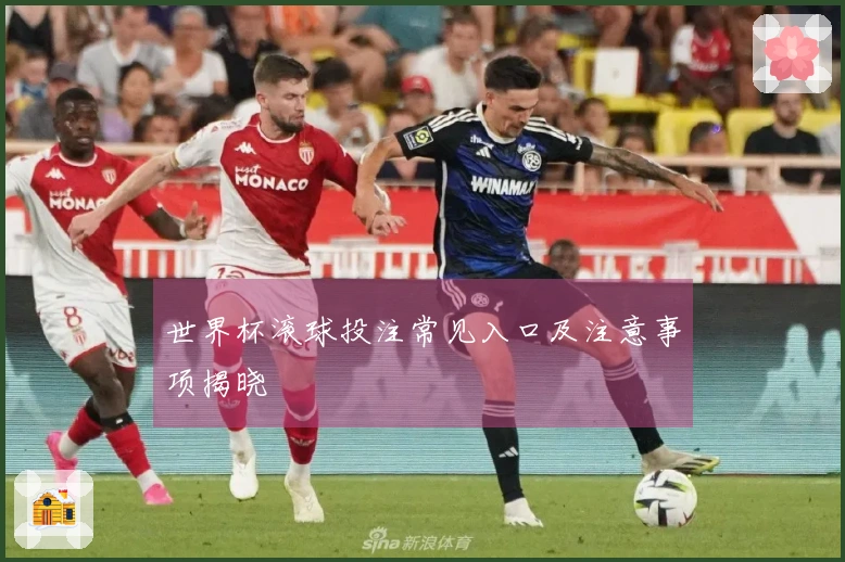 世界杯滚球投注常见入口及注意事项揭晓