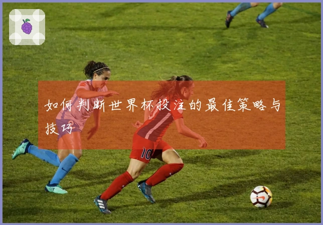如何判断世界杯投注的最佳策略与技巧