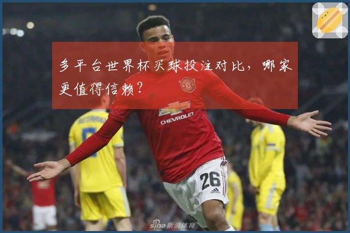 多平台世界杯买球投注对比，哪家更值得信赖？
