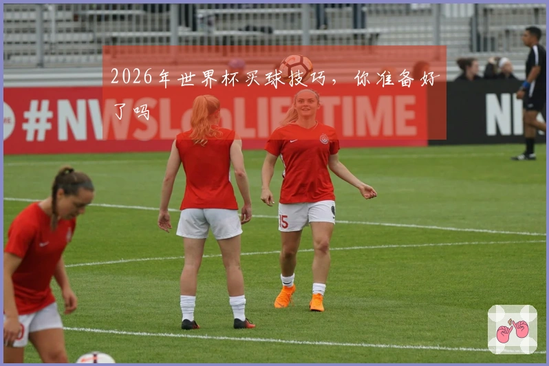 2026年世界杯买球技巧，你准备好了吗